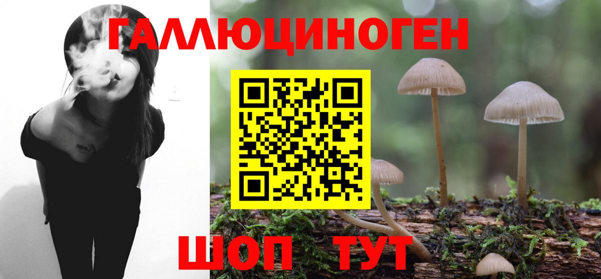 Трёхгорный  Псилоцибиновые грибы GOLDEN TEACHER  Вход с VPN  Галлюциногенные грибы MAGIC MUSHROOMS 